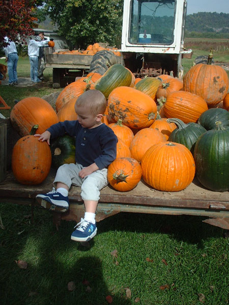 Atticus in a pumpkin wagon.jpg 108.9K